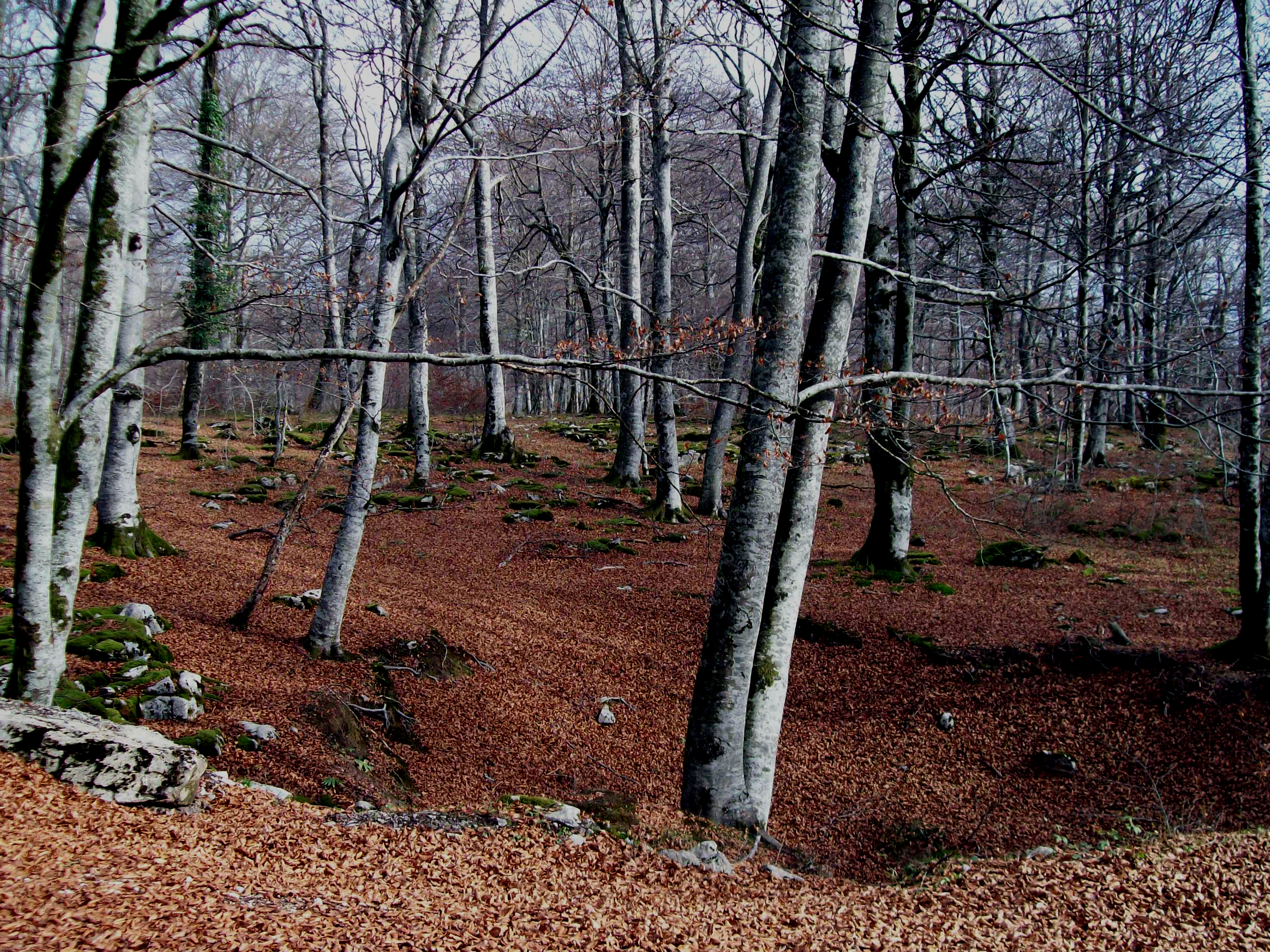 Paisaje interior 2