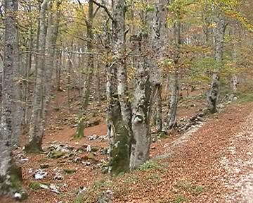 Monte Santiago